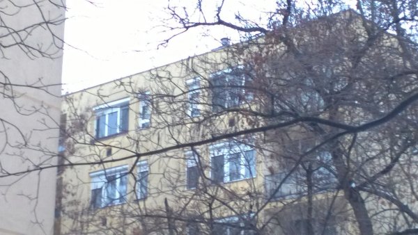 WP_20160124_008