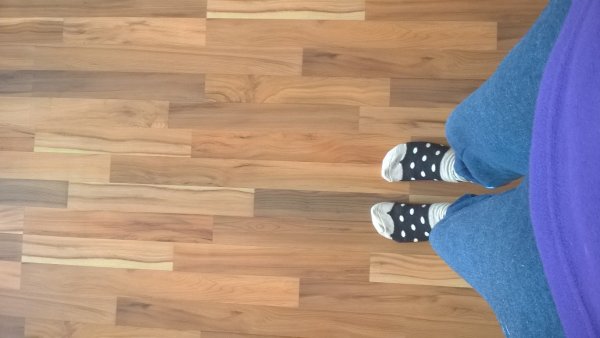 WP_20160130_029