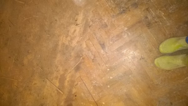 WP_20160215_008