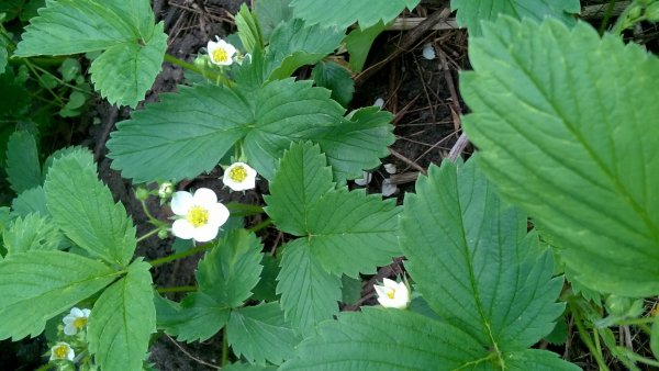 WP_20160410_005