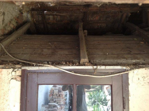 13595795_1366031530079958_524331389_n