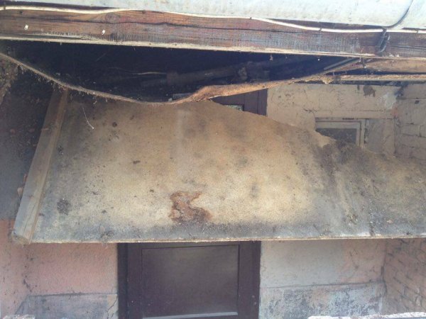 13607754_1366031440079967_1694267336_n