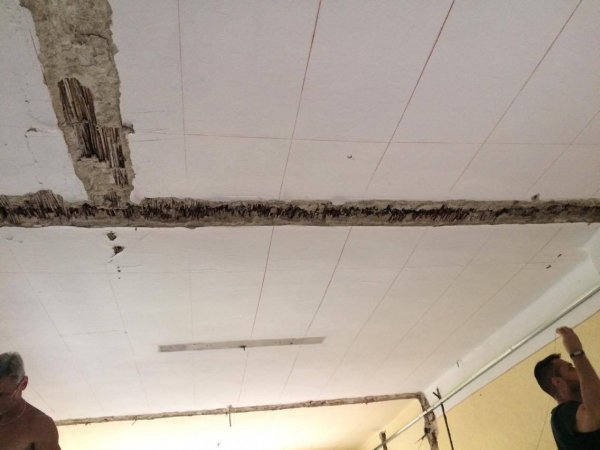 13639738_1369806526369125_451246215_o