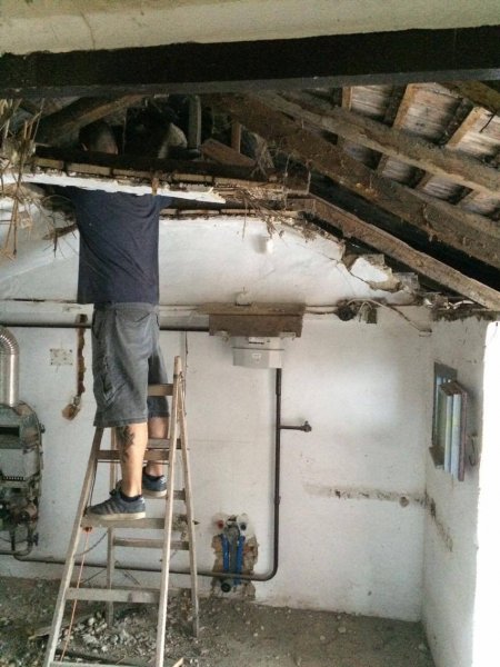 13639961_1369806509702460_640613712_o