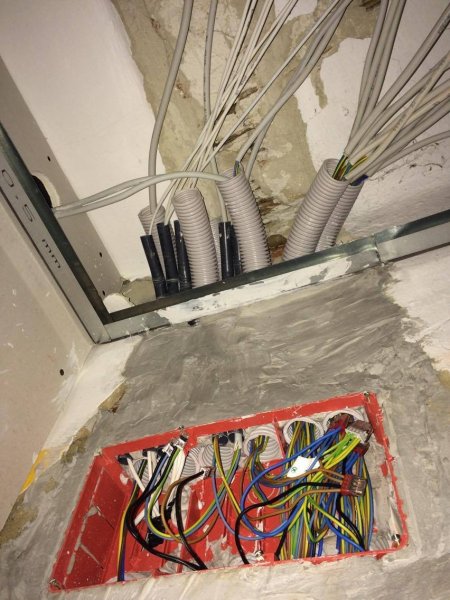 13694311_1377076202308824_1245244129_o