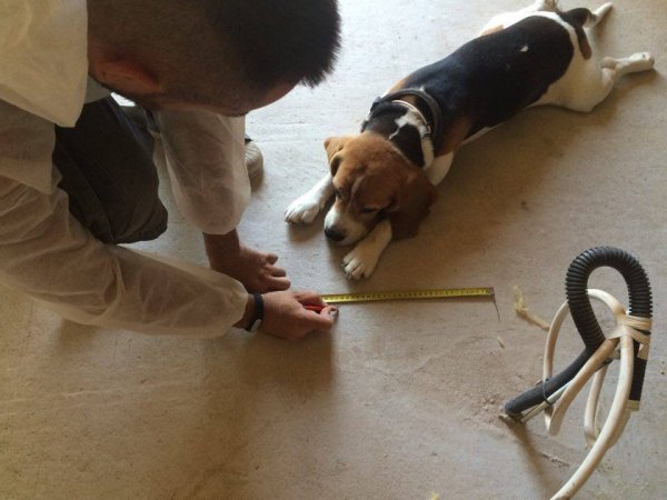 13940887_1393018844047893_1170674195_n