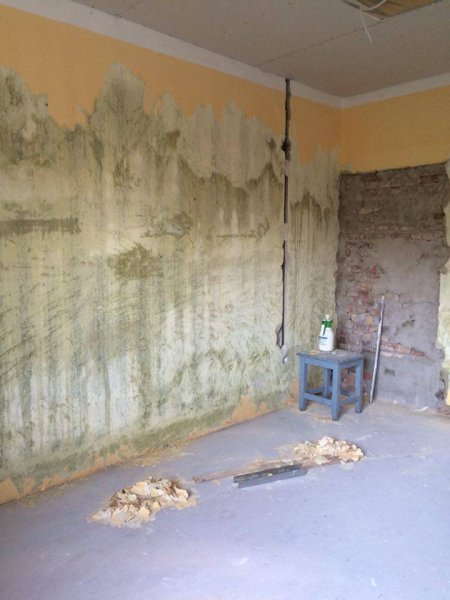 13956777_1393018890714555_365705420_n