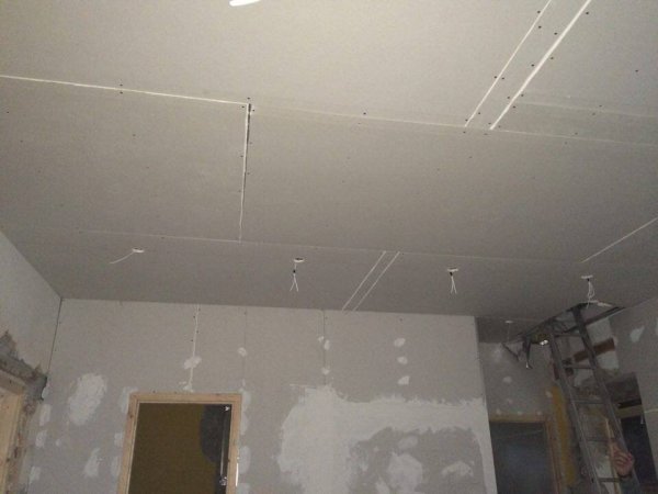 14054811_1406708076012303_1886991913_n