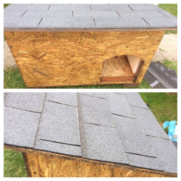 14600754_1455928794423564_1378777988_o