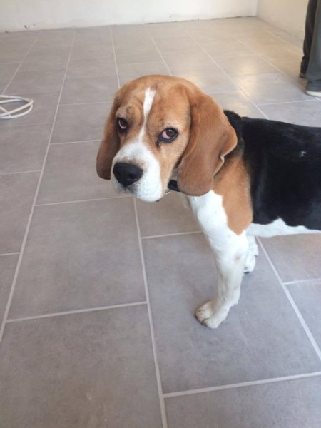 14632649_1455928807756896_859323162_o