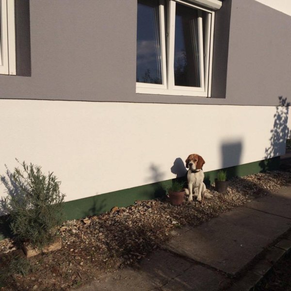 14643063_1461914257158351_1015184787_n