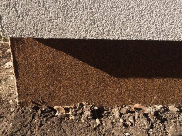 14696903_1461914157158361_431182183_n