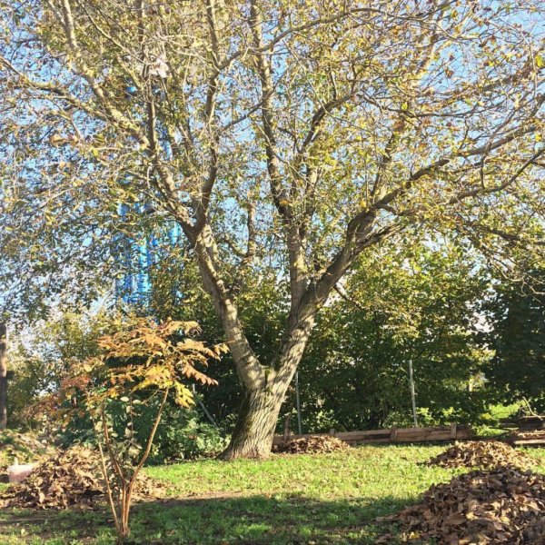 14884462_937676509669543_8641251962692667268_o