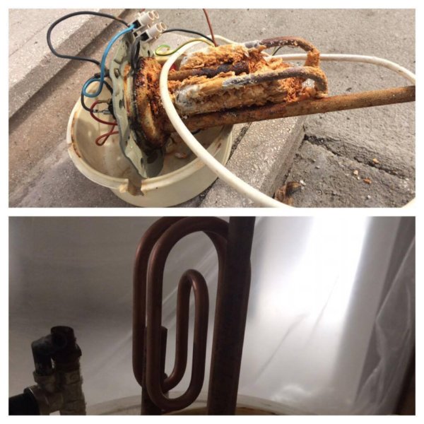 14963637_1487588787924231_787086748_o