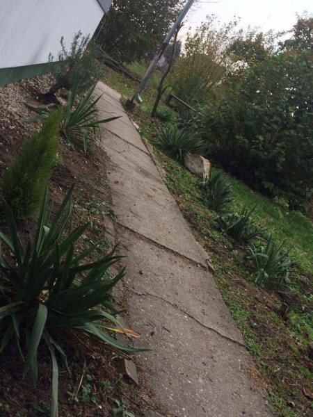 14975708_1487588294590947_968900058_o