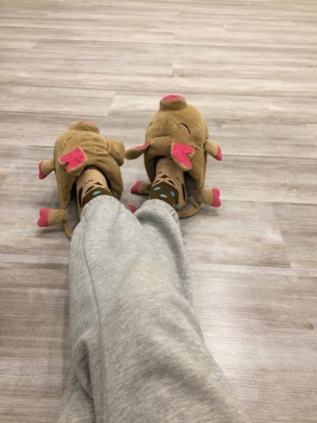 15319467_1524588130890963_1867379729_n