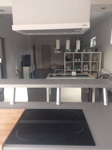 15491552_1535238969825879_667342968_o