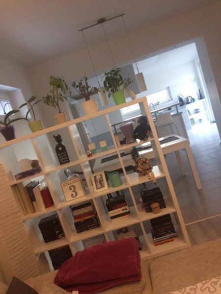 15491825_1535239109825865_301963380_o