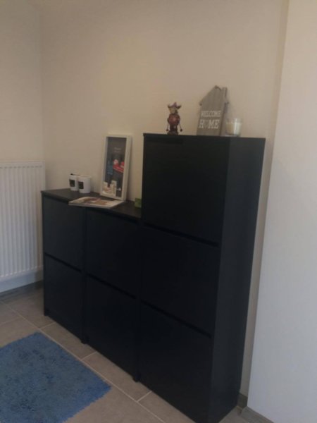 15515575_1535239143159195_1069091496_o