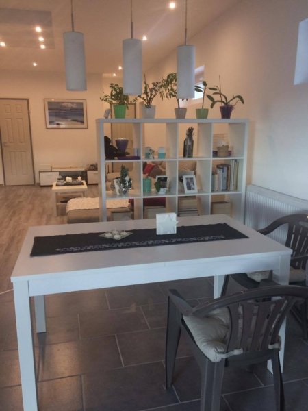 15540172_1535239126492530_1119919106_o