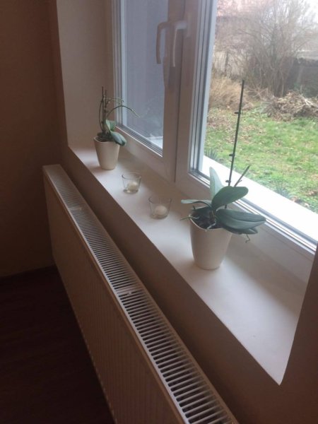 15540563_1535238973159212_1412758870_o