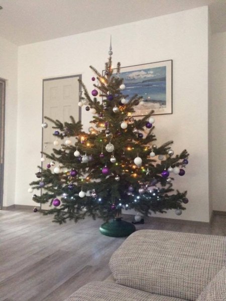 15730955_1549382541744855_474624349_n