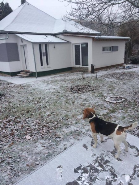 15731403_1549382535078189_511394130_n