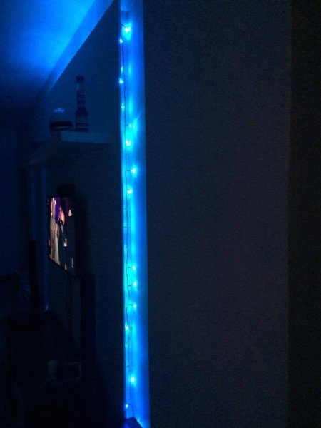 15870520_1555514351131674_2035068029_n