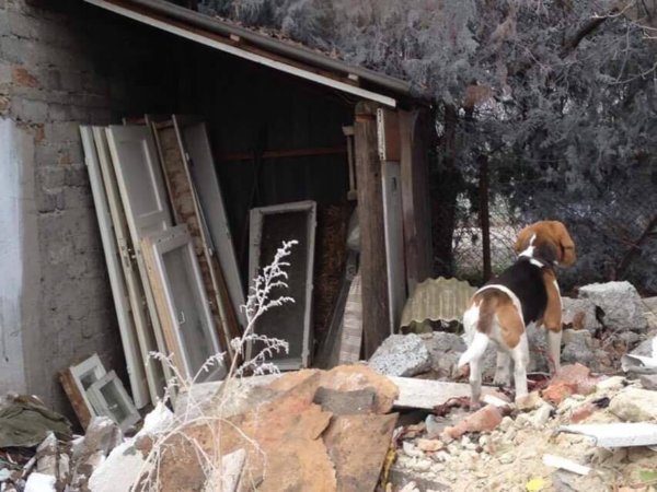 15978301_1561934643822978_2141652425_n-1